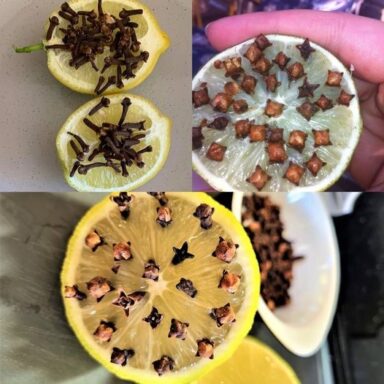 Fruits Fly Trap | Insect Trap | Life Hack – Cookingvio.com