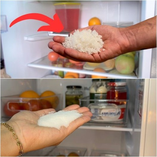 Put salt in your fridge and you will be surprised what happens Page 2