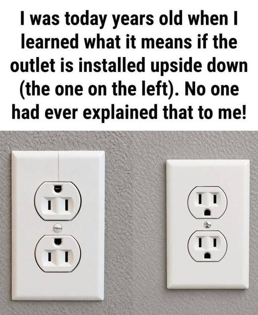 WhatsApp Image 2026-10-16 at 10.09.46