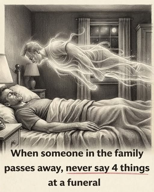 WhatsApp Image 2026-10-18 at 12.52.28