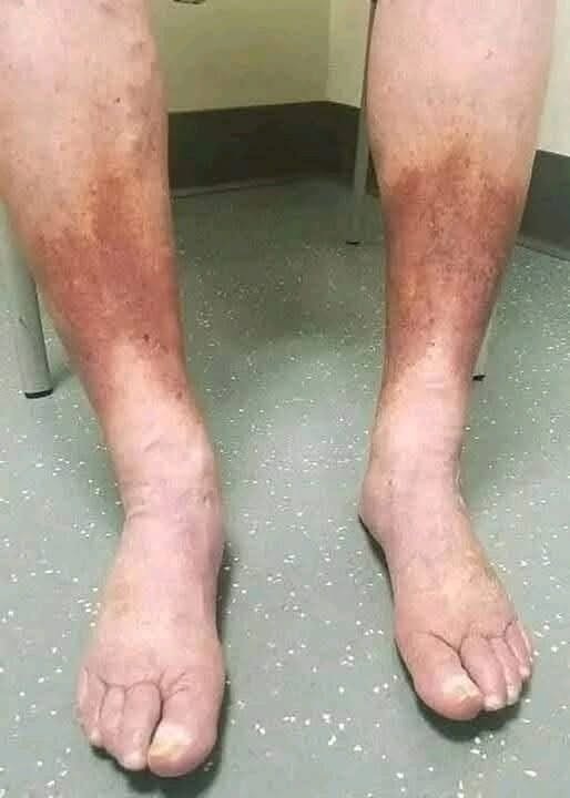 WhatsApp Image 2026-10-18 at 13.07.03